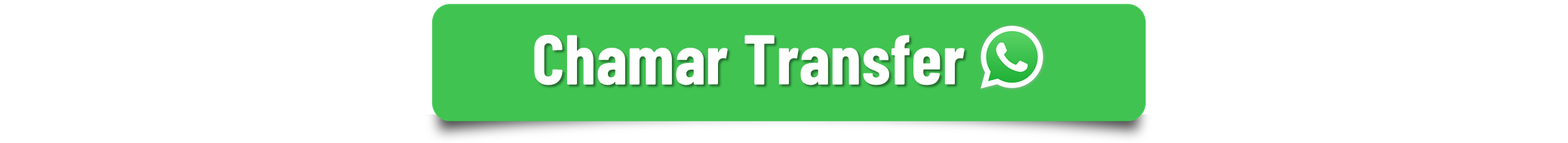 Transfer Florianópolis - Rumo Sul Transporte Executivo Florianópolis  (1).png