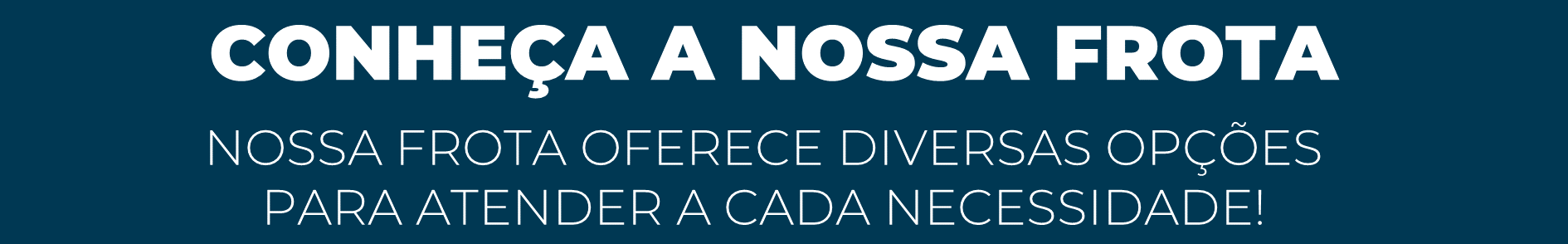 Transfer Florianópolis - Rumo Sul Transporte Executivo Florianópolis (6).png